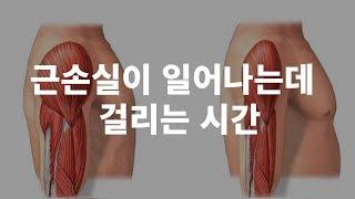 운동을 얼마나 쉬어야 근손실이 일어날까?