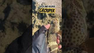 First Caught Grouper in shore #reels #shortvideo #viral #fishing #funny