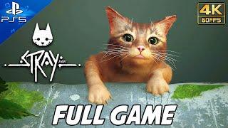 STRAY FULL GAME Walkthrough PS5 No Commentary Gameplay @ 4K 60ᶠᵖˢ 