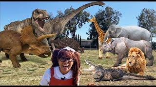 Dinosaurs and Animals for Kids  Soso Brings Her Dinosaurs and Animal Toys to Life