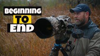 Bird photography. Great gear plus fieldcraft workflow and editing equals Fun