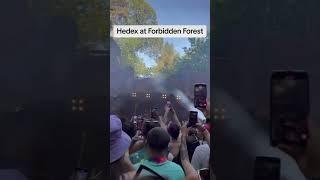 Hedex madness at Forbidden Forest