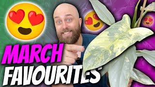 7 Plants I Love This March  Monthly Favourites  Philodendron Alocasia Anthurium
