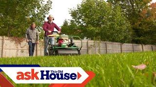 How to Revitalize a Lawn  Ask This Old House