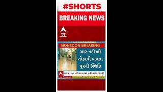 Navsari Flood  નવસારીના તળિયાવાળમાં 4 નદીઓના ઘૂસી ગયા પાણી