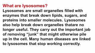 structure of cells