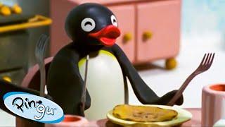 Pingus Pancakes   Pingu - Official Channel  Cartoons For Kids