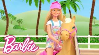 @Barbie  Barbie Falls During Horse Show Practice 