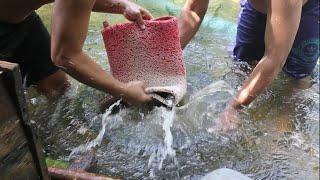 EXTRAORDINARY LOOKING FOR GOLD IN A CLEAR RIVER USING SIMPLE TOOLS  GOLD DREDGING IN RIVER