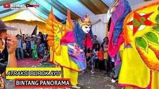 Atraksi burok ayu  BINTANG PANORAMA Live japura