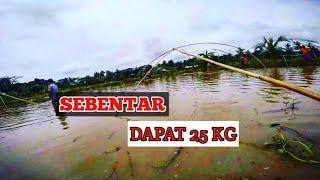 REJEKI BANJIR  Nganco Di Sawah Saat Banjir Panen 25kg  #62