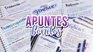 Como hacer APUNTES BONITOS - DanielaGmr 