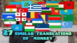 27 similar translations of MONKEY in some World Languages  ترجمه میمون  μετάφραση μαϊμού. Maymun