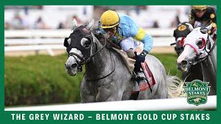 The Grey Wizard - 2024 - Belmont Gold Cup
