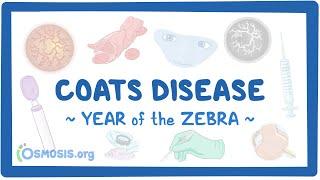 Coats disease Year of the Zebra 2024