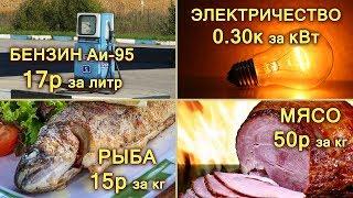 Шок Сколько в РЕАЛЬНОСТИ стоят продукты питания бензин свет и газ?