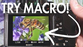 Intro to MACRO Photography TIPS to get you STARTED