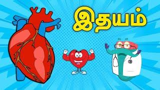 மனித இதயம் எப்படி இயங்குகிறது?  Human Body - The Heart  Dr.Binocs Tamil  Kids Learning Video