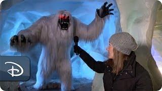 The Abominable Snowman Inside the Matterhorn  Disneyland Resort