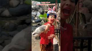 Kelinci Bawang Merah KABURRR🫣 #bawangmerahbawangputih #ceritarakyat #storytelling #youtubeshorts