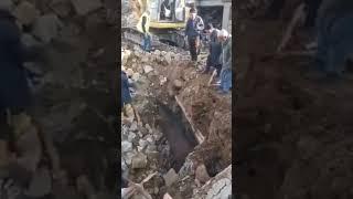 Horse found alive after earthquake