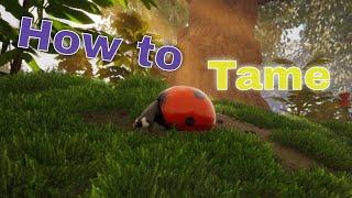 Smalland Surviving the Wilds - How to Tame