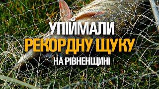 ВПІЙМАЛИ РЕКОРДНУ ЩУКУ НА РІВНЕНЩИНІ. ЯКРАВІ ЕМОЦІЇ. ОСІННЯ РИБОЛОВЛЯ 2023