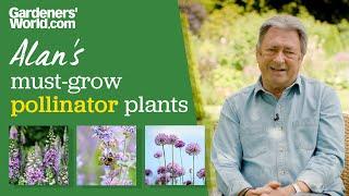 5 favourite plants for pollinators  Alan Titchmarsh