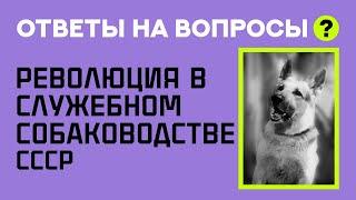 История о разрушении Служебного Собаководства. Ответы на вопросы. Falling of the USSRs cynology.