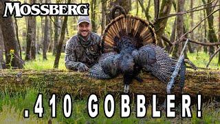 410 Gobbler off the Roost  Calling to Stubborn Turkeys