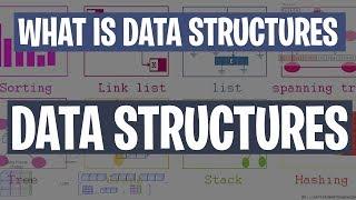 What is Data Structure