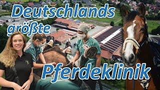 Deutschlands größte Pferdeklinik stellt sich Ariane Telgen - Mit 3 Pferden in die Pferdeorthopädie