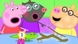 The Pet Competition at Peppas Playgroup  Peppa Pig Official Family Kids Cartoon