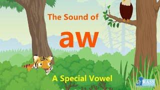 The “aw” Vowel  Sound of aw  Reader A Tiger and a Hawk  Go Phonics 4C Unit 14