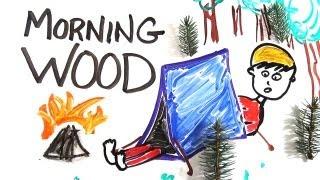 The Science of Morning Wood