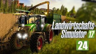 LANDWIRTSCHAFTS-SIMULATOR 17 FORST #24 - MEGA PAPPELERNTE I LS17 Forst-Projekt