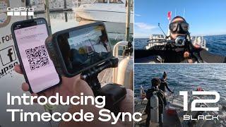 How to Use GoPro HERO12 Blacks Multi-Camera Timecode Sync