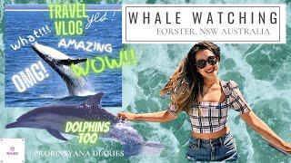 Amaroo Cruises Whale Watching and Dolphin Watching