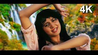 4K VIDEO Koyaliya Gati Hai Payaliya Chhankati Hai  Jungle Love 4K Movie  Anuradha Paudwal 90s Hit