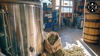 How to Deal with Beer Stone Adding Minerals to Water & Dry Hopping & Cold Crashing - Ep.381