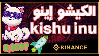 تحليل عملة الكيشو إينو kishu inu