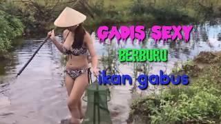 Gadis sexy berburu ikan gabus