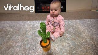 Baby Has in Depth Conversation With Talking Cactus Toy  ViralHog