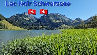 Schwarzsee lac Noir Fribourg Switzerland 4K Ultra hd 02.07.2022