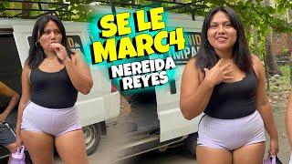 NEREIDA REYES Tiene Muchos Admiradores por su Belleza - Linda Salvadoreña