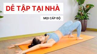 Yoga cho người mới bắt đầu Hướng Dẫn Từng Bước cực dễ tập  Hoàng Uyên Yoga