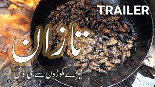 TRAILER  TAAZAN  Cicada How to Cook ?  Ziarat  Balochistan  Pakistan 