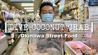 LIVE Coconut Crab Yashigani Has Another Surprise For Me PARASITES Okinawa Street Food