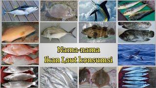 Yuk Kenali nama-nama ikan laut