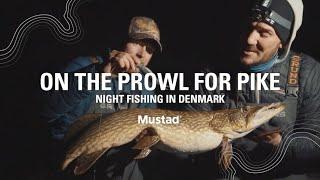 Pitch Black Night Pike Fishing  On the Prowl